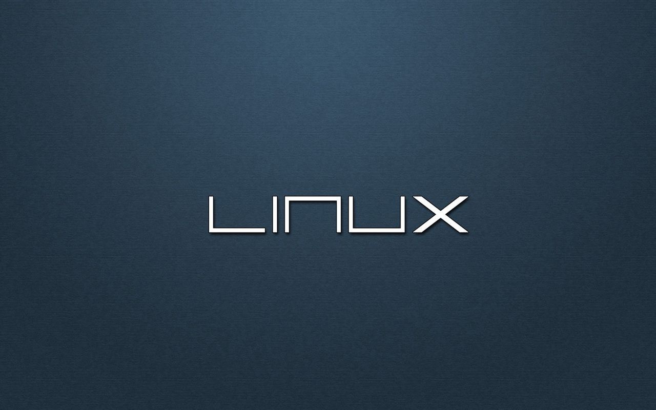 linux mint usb portable instalable operator system