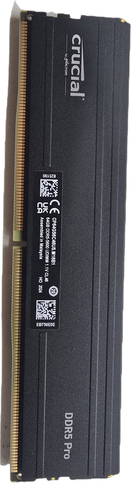 Crucial DDR5 Pro 64GB 1x64GB DDR5-5600 UDIMM 288-Pin RAM CP64G56C46U5 Crucial DDR5 Pro 64GB 1x64GB DDR5-5600 UDIMM 288-Pin RAM CP64G56C46U5