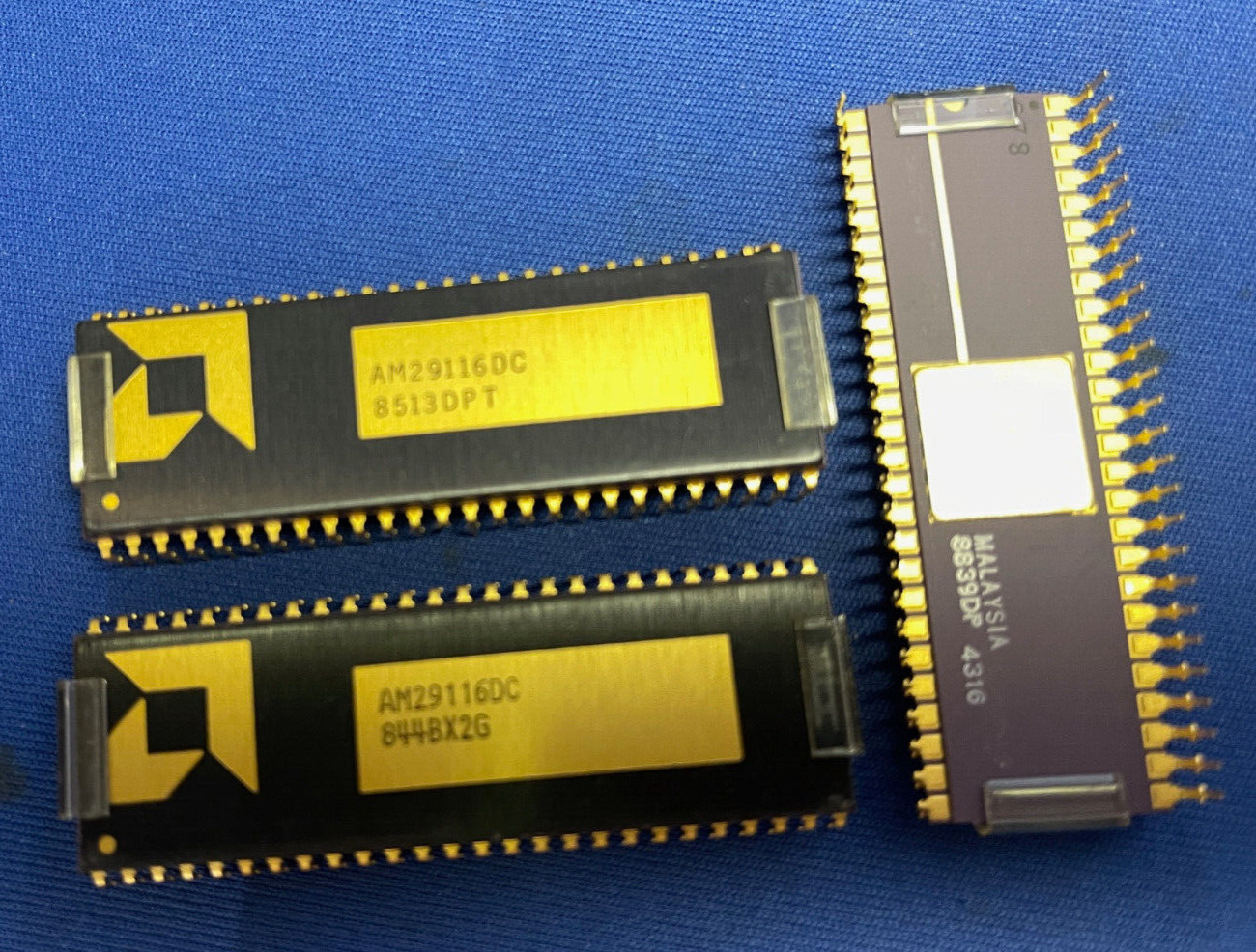 AM29116DC AMD 52-PIN DIP Gold CERAMIC Vintage 84-87 COLLECTIBLE LAST ONE