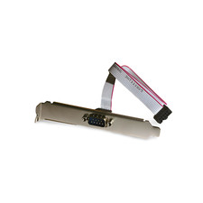 1ft DB9 Male to IDC10 Serial Port AT Everex - Gray picture